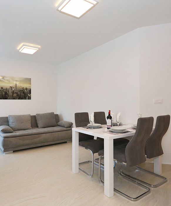 Apartment with Terrace